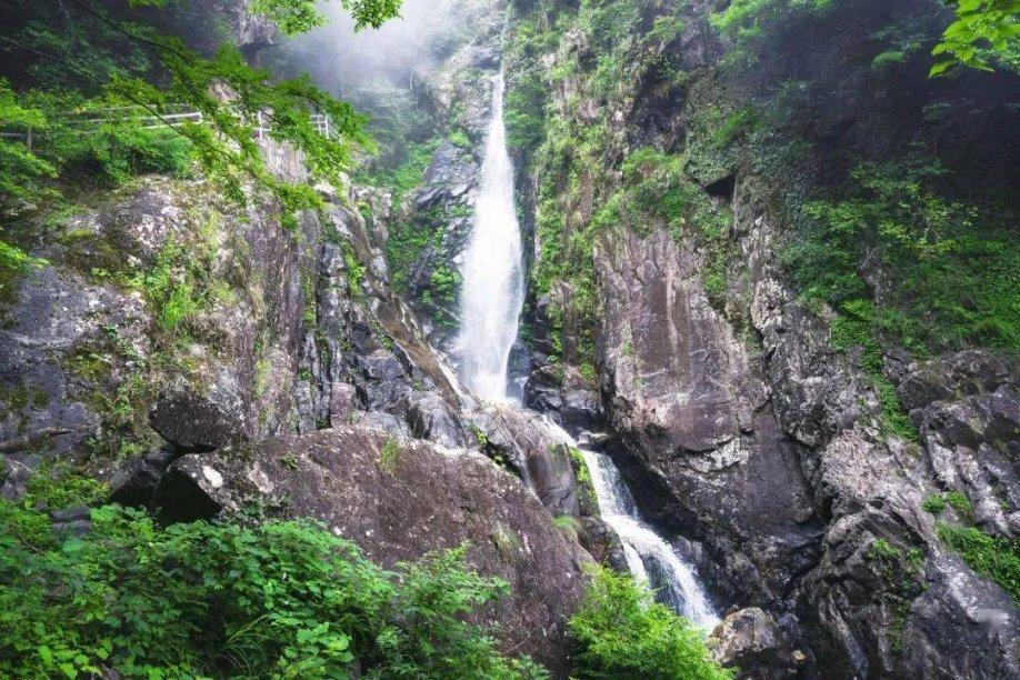 脑洞小老弟无实名认证