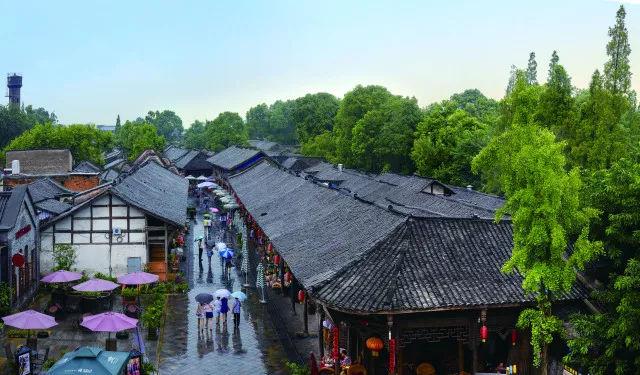 探索吉鹿力问答社区,解答你的疑问